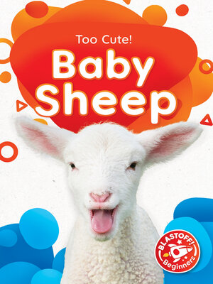 cover image of Baby Sheep